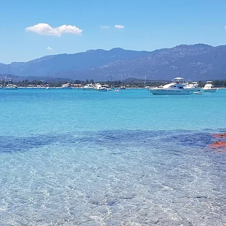 4 Persons - Near Porto Vecchio - 500 M From The Sea *