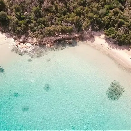 4 Persons - Near Porto Vecchio - 500 M From The Sea