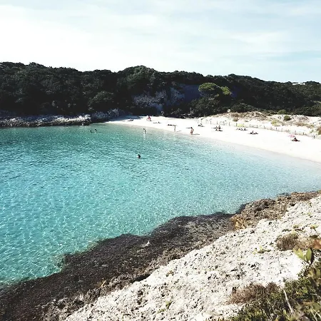 4 Persons - Near Porto Vecchio - 500 M From The Sea *