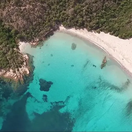 4 Persons - Near Porto Vecchio - 500 M From The Sea Lejlighed Zonza