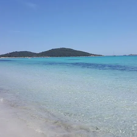 4 Persons - Near Porto Vecchio - 500 M From The Sea Zonza