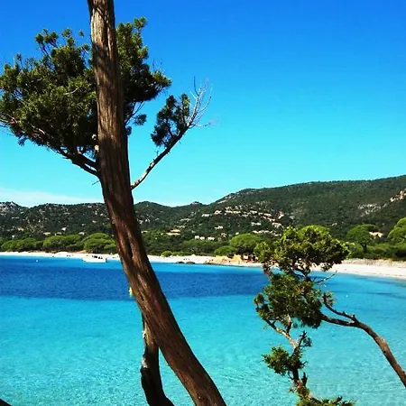 4 Persons - Near Porto Vecchio - 500 M From The Sea Lejlighed